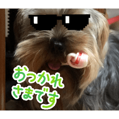 RUNRUN WANWAN_20260212165412