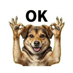 harumin_20260212231048