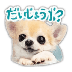 Miruku.moca_20260212231104