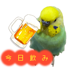 keychan_20260212171410