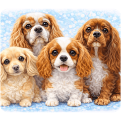 kota_kina_mama_20260212203827