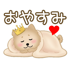 Always With Doggy Vol. 1