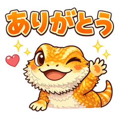 Ago-chi the Bearded Dragon