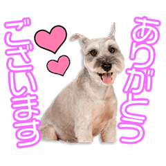 水元家のゲンキちゃん