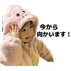 momo_20260213011619
