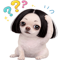 Chihuahua TuaTueng! (No Text)