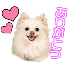 石橋家のメルちゃん