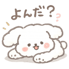 c1000_20260212224038