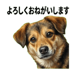 harumin_20260212230118