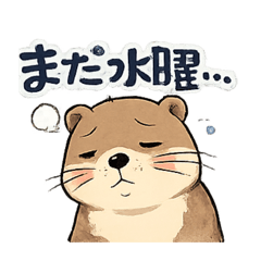 remon55_20260212225041