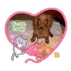 Hinamaru_20260212181733