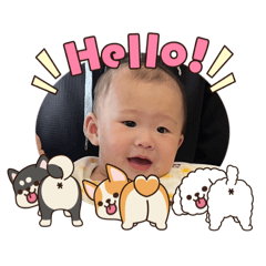 小貝狗快樂日常2