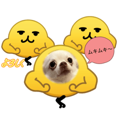 Hinamaru_20260212182922