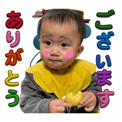 maimai_20260212183432