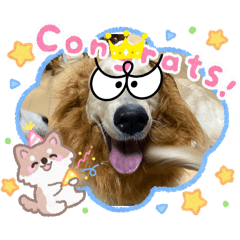 Hinamaru_20260212184601