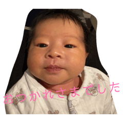 tamorin_20260212185759