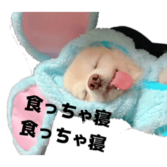 saburounokainushi_20260212190023