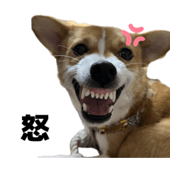 OMOCHI.BAN_20260212185732