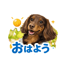 mugi_20260213115602