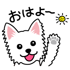 Cute! Westie Stickers