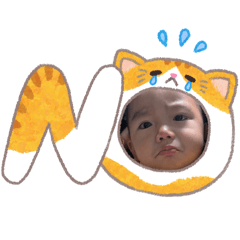 Safezone_20260212194916