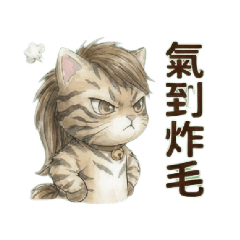 HoJa family 波尼喵求拍拍