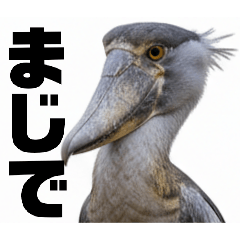 Shoebill, Photorealistic