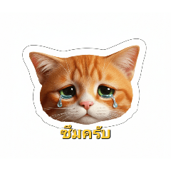 Hannya_20260212220834