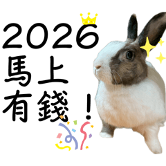 花生小兔寶2026最新彈