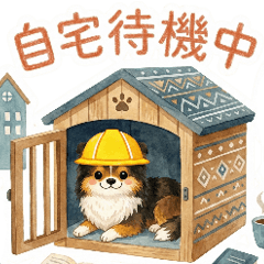 Disaster Safety Shetland Sheepdog