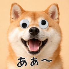 會動眼睛的狗 - 柴犬