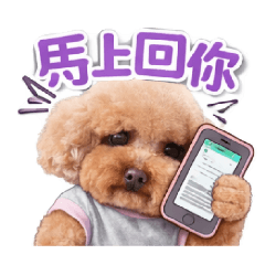 錢錢地瓜公主~2