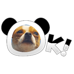 pinthira_20260213085122