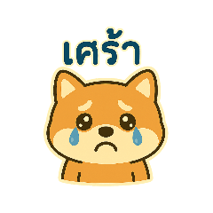 Papawarin_20260213101735