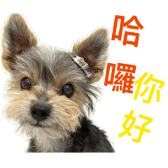 可樂毛小孩貼圖