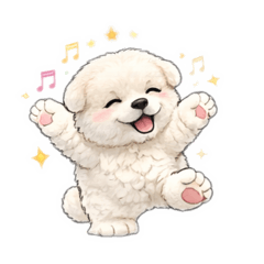 小圓寶の日常-1