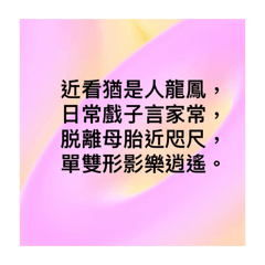 2023數據的繪圖回顧02