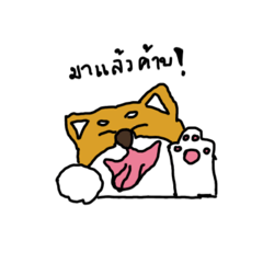 Benzeiei_20260213112117