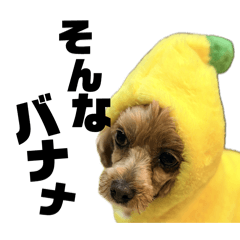 fujiko_20260212202914