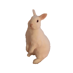 wdgsl_20260121193639