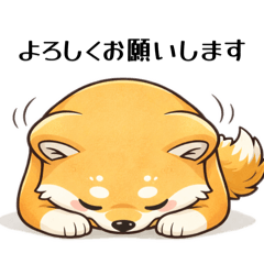 Hachiya_20260212202818