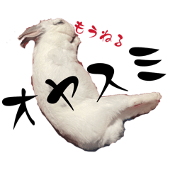 senchiyo_20260213140259