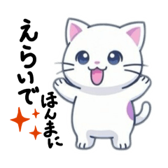 Akkum_20260213140424