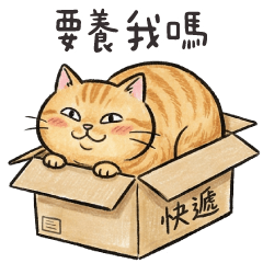 手帳風貓貓❤️要把我帶回家養嗎