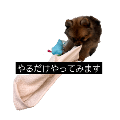 satokazoku_20260212210845