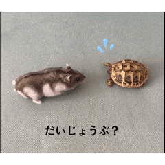 torisantachi_20260212210447