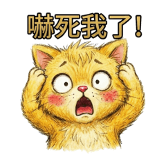 搞笑金貓