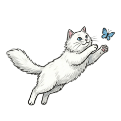 慵懶貓咪的舒適圈