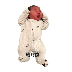 Priscilla's Daily Life 2.0