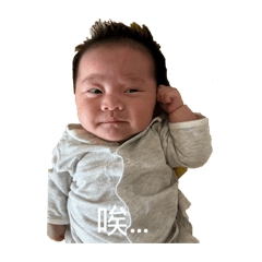 Priscilla's Daily Life 3.0